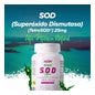 HSN SOD Superóxido Dismutasa Tetrasod® 25mg 60vcaps