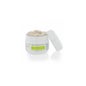 Phytaless Lactic Ferment Gel