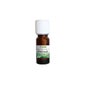 Propos Nature Bio Ätherisches Öl Patchouli 10ml