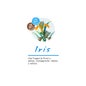 Boles D'Olor Recambio Mikado Iris 200 ml