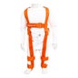 Pavlik Dys/Hanch48/59 Harness 3