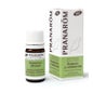 PranarÌm rosemary oil QT verbenone BIO 5ml