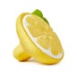 Oli&Carol Mordedor John Lemon Oli 1ud