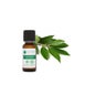 Voshuiles Aceite Esencial de Laurel Noble 20 ml