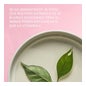 Weleda Crema de Día Alisante de Rosa Mosqueta y Té Blanco 40 ml