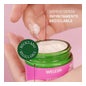 Weleda Crema de Día Alisante de Rosa Mosqueta y Té Blanco 40 ml