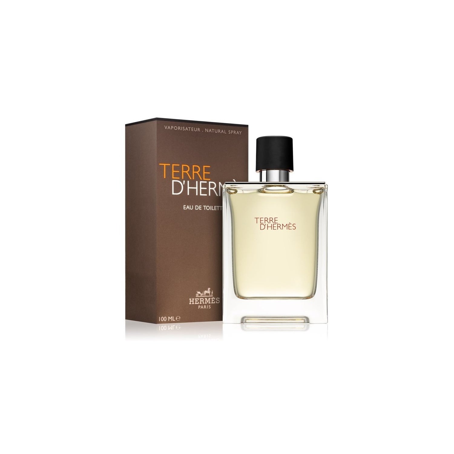 Perfume Terre D' Hermes Original Masculino Hombre